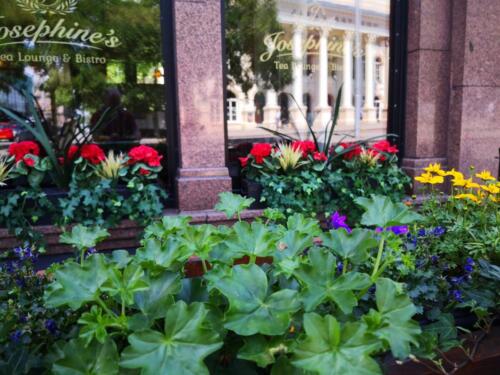 Outside Seating